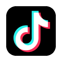 TikTok preview 1